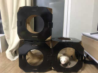 주진님이 올린 리뷰 사진 1