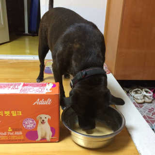 이플단미님이 올린 리뷰 사진 1