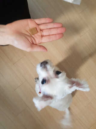 제니님이 올린 리뷰 사진 3