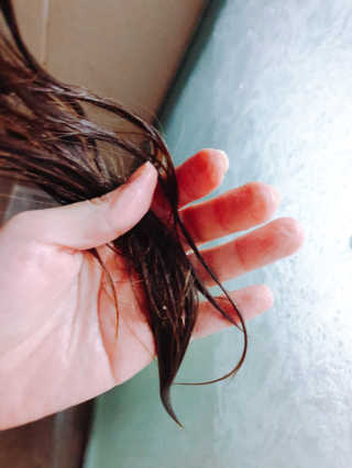 홈앤살롱 집에서 하는 모발클리닉 디스 이즈 앝 — 5점을 준 리뷰어가 2019년 10월 올린 사용 사진