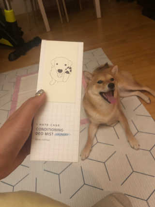 lala님이 올린 리뷰 사진 1