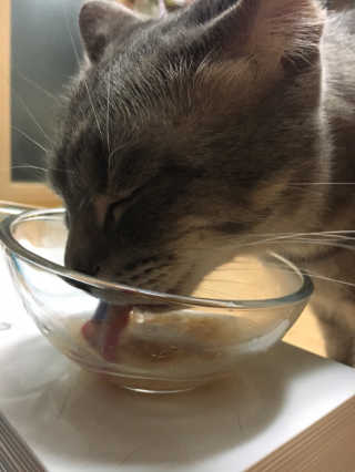 타마마이등병님이 올린 리뷰 사진 2