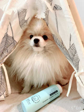 밍크마마님이 올린 리뷰 사진 2
