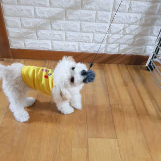 민동2님이 올린 리뷰 사진 1