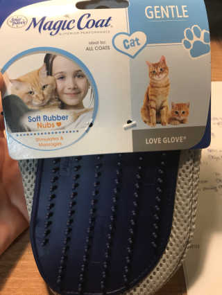 Four paws 리뉴얼 포포즈 매직코트 털 제거 브러쉬 — 1점을 준 리뷰어가 2018년 8월 올린 사용 사진