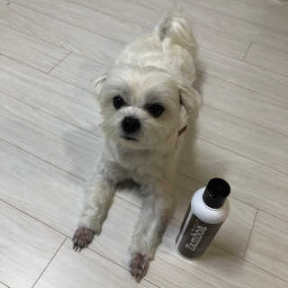 칸쵸님이 올린 리뷰 사진 4