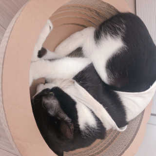 밍미이님이 올린 리뷰 사진 4