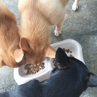 홍소바리님이 올린 리뷰 사진 2