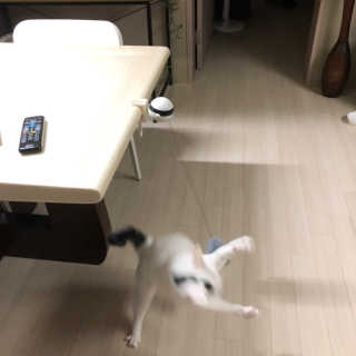 ccowjd님이 올린 리뷰 사진 1