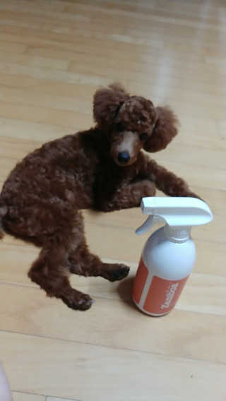 너구리양님이 올린 리뷰 사진 3