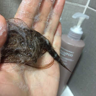 바디버든프로젝트 바디버든 프로젝트 BBP 샴푸 트리트먼트 세트 — 5점을 준 리뷰어가 2019년 7월 올린 사용 사진