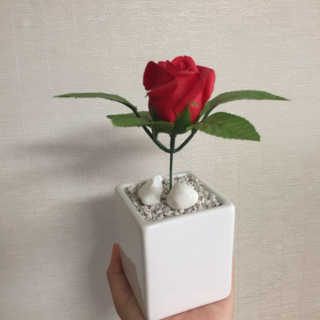 최혜정님이 올린 리뷰 사진 1