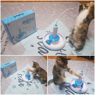 gajete님이 올린 리뷰 사진 1