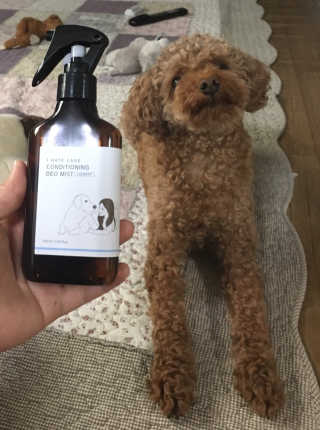 스마일님이 올린 리뷰 사진 1