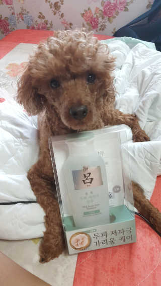 륜아키님이 올린 리뷰 사진 1
