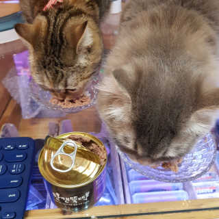 [펫토리아] BEST 한캔뚝딱 고양이 주식캔 — 3점을 준 리뷰어가 2019년 3월 올린 사용 사진