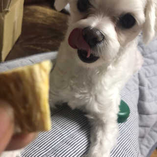 요우미님이 올린 리뷰 사진 2