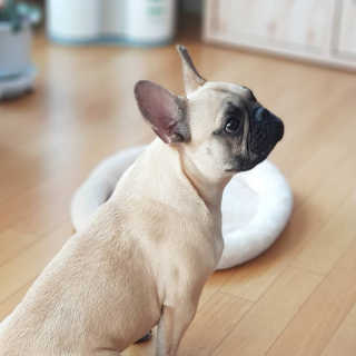 싸만님이 올린 리뷰 사진 1