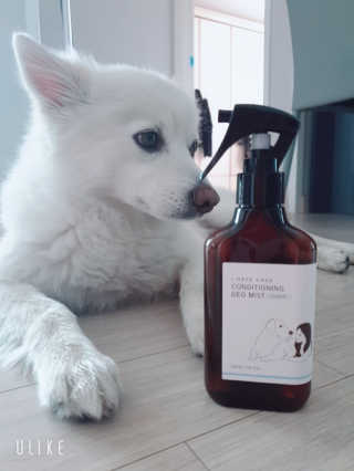 SooYeonKim님이 올린 리뷰 사진 4