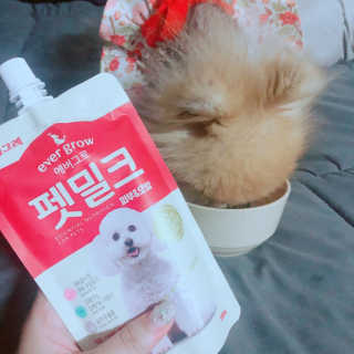 [빙그레] 에버그로 생유산균 1봉（10포입）+펫밀크2팩 — 5점을 준 리뷰어가 2019년 5월 올린 사용 사진