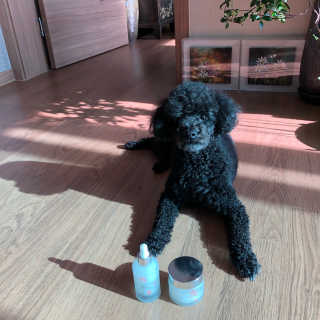 (주)에네스티 미스랩 갈락토미세스 엔리치드 앰플 — 4.5점을 준 리뷰어가 2019년 10월 올린 사용 사진