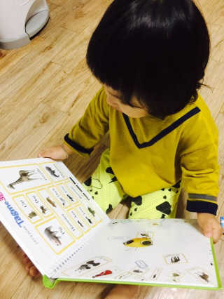 소똥이님이 올린 리뷰 사진 2