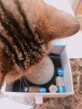 엘카몬님이 올린 리뷰 사진 1