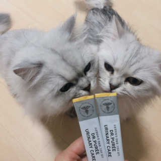 SaRangJeon님이 올린 리뷰 사진 2