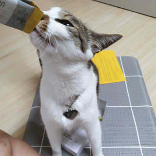 AnnaJo님이 올린 리뷰 사진 3