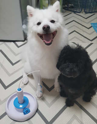 pie_chui님이 올린 리뷰 사진 1