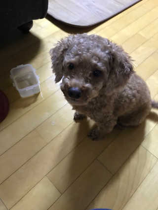qwertyj님이 올린 리뷰 사진 4