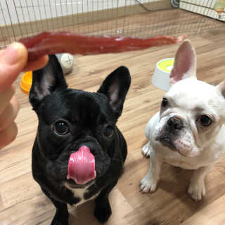 불독키우는개엄마❤️님이 올린 리뷰 사진 4