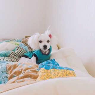 눈부신하늘님이 올린 리뷰 사진 2