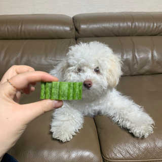 찐멍멍이님이 올린 리뷰 사진 2