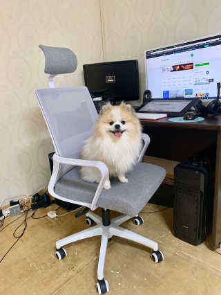 오아희님이 올린 리뷰 사진 4
