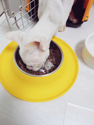 철이앰이님이 올린 리뷰 사진 3