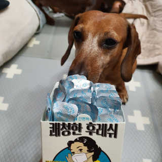 끙순둥단님이 올린 리뷰 사진 2