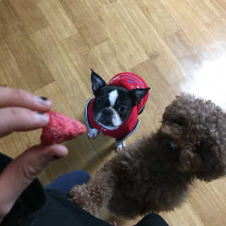 비초님이 올린 리뷰 사진 2