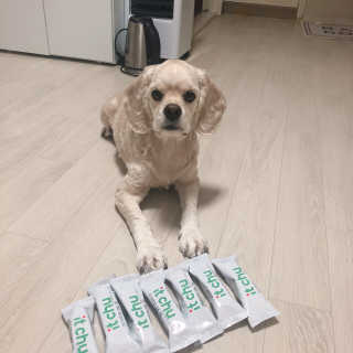 쑝쑝님이 올린 리뷰 사진 1
