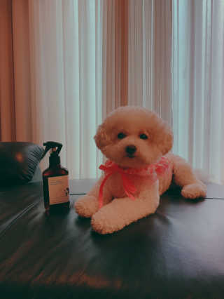 소유띠님이 올린 리뷰 사진 1