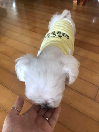 채꽃신님이 올린 리뷰 사진 3
