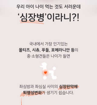 fively님이 올린 리뷰 사진 4
