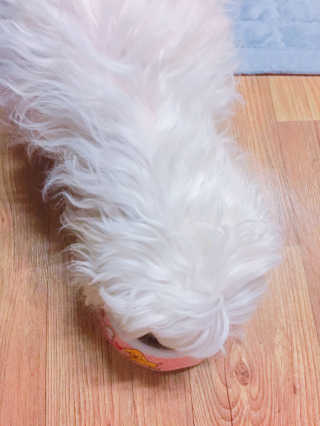 리본님이 올린 리뷰 사진 4