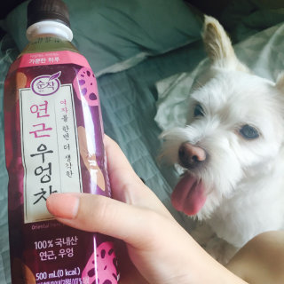 윤빵님이 올린 리뷰 사진 2