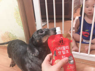 이은혜님이 올린 리뷰 사진 2