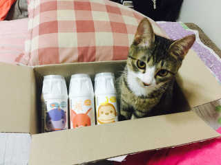 혜지님이 올린 리뷰 사진 1