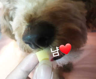 란아님이 올린 리뷰 사진 3