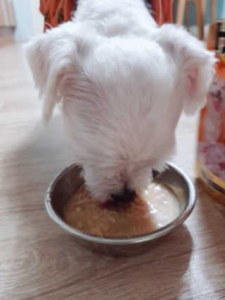 LeeGoEun님이 올린 리뷰 사진 3