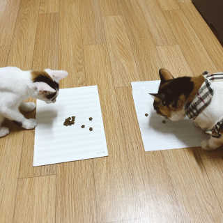 아꽁님이 올린 리뷰 사진 3