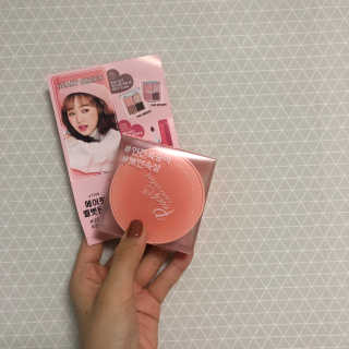 [블랙루즈] 피치 커버 벨벳 쿠션 2종 중 택1 — 3점을 준 리뷰어가 2019년 10월 올린 사용 사진